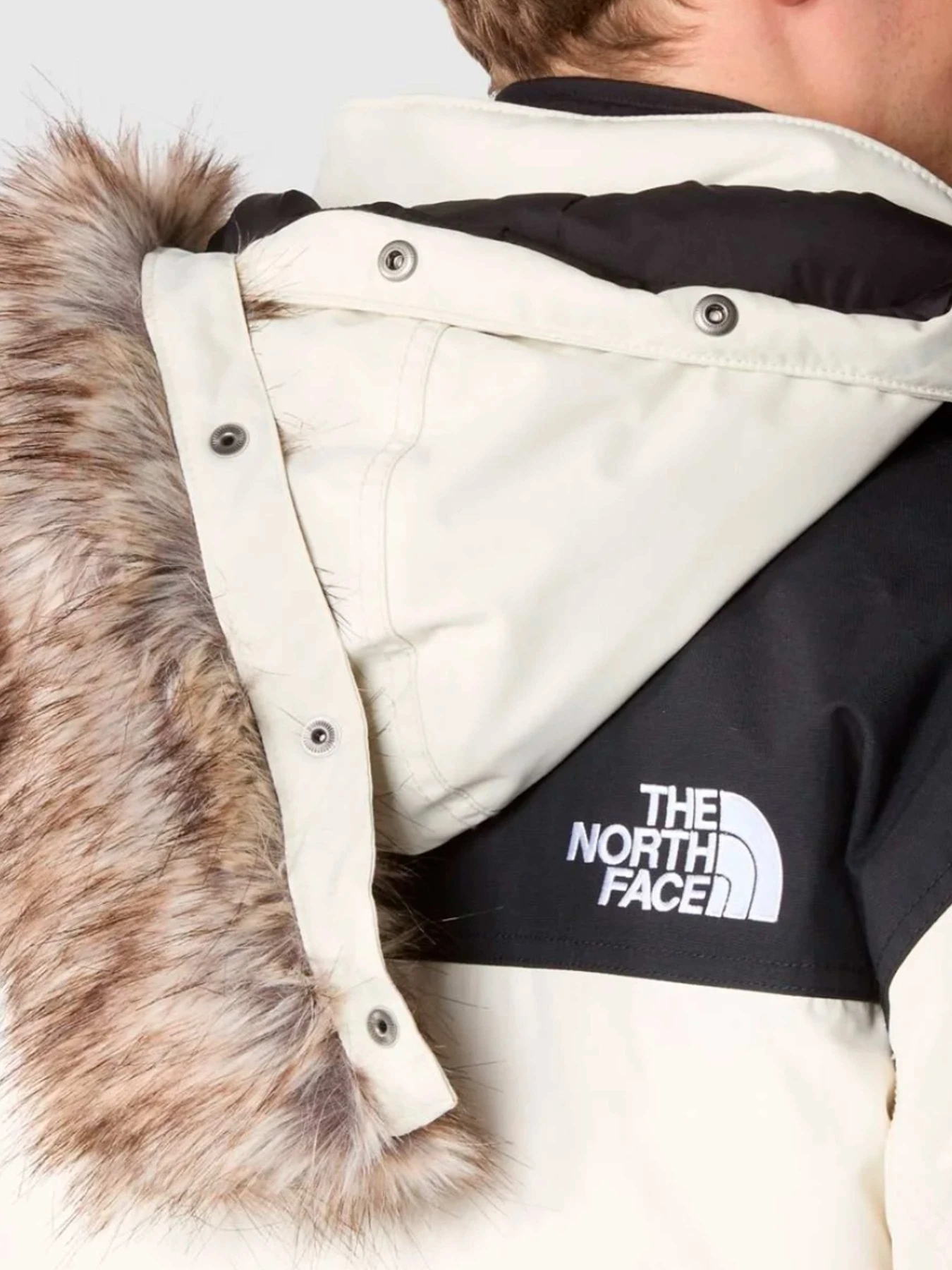 Куртки и дубленки The North Face модель NF00CP07Q4C1 Куртки и дубленки The North Face модель NF00CP07Q4C1 Фото