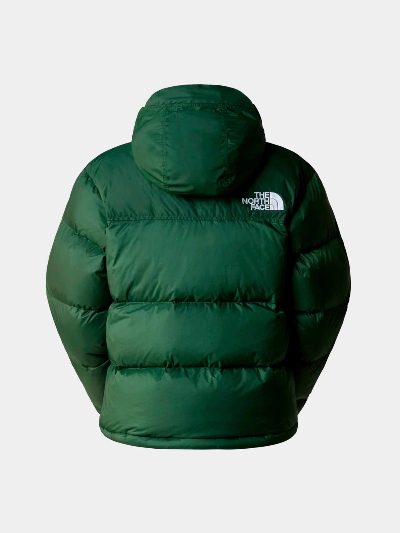 Куртки и дубленки The North Face модель NF0A3XEOI0P1 Куртки и дубленки The North Face модель NF0A3XEOI0P1 Фото