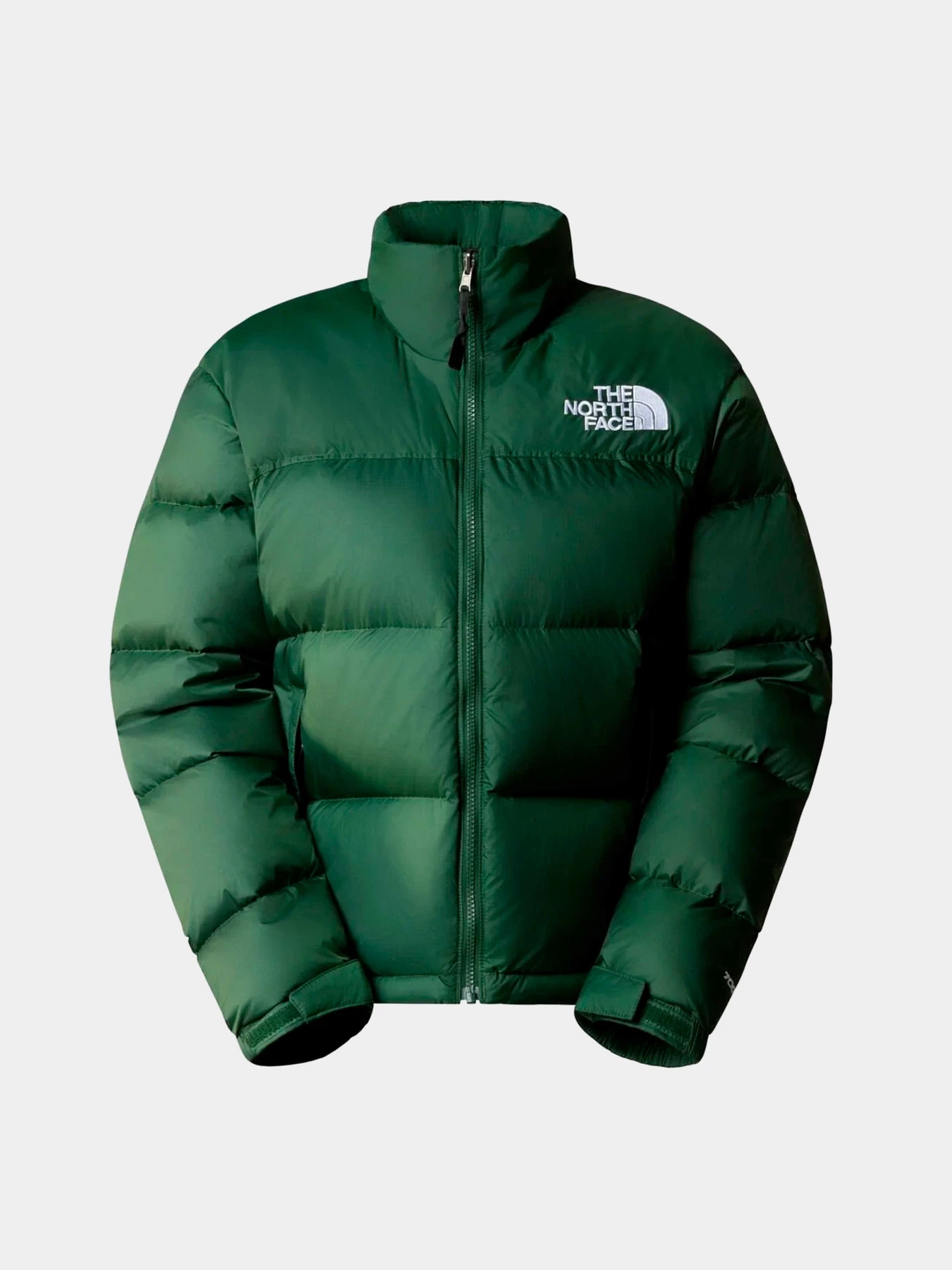 Куртки и дубленки The North Face модель NF0A3XEOI0P1 Куртки и дубленки The North Face модель NF0A3XEOI0P1 Фото