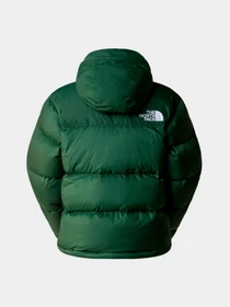 Куртки и дубленки The North Face модель NF0A3XEOI0P1 Фото