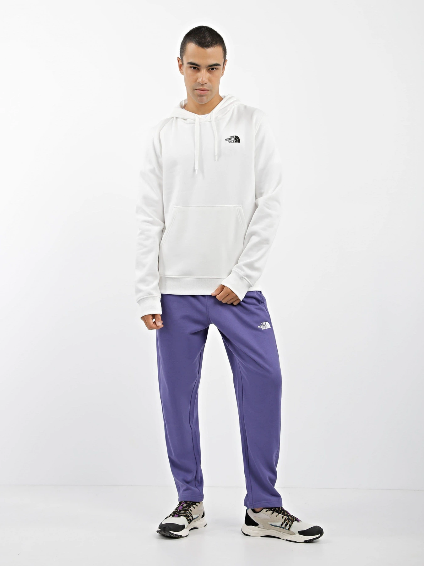 Худи и свитшоты The North Face модель NF0A7X1POFK1 Худи и свитшоты The North Face модель NF0A7X1POFK1 Фото