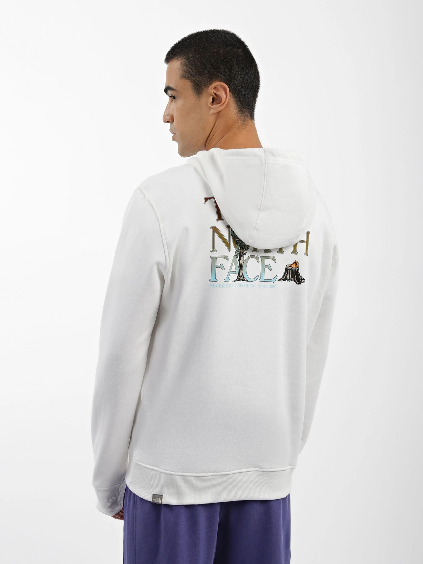 Худи и свитшоты The North Face модель NF0A7X1POFK1 Худи и свитшоты The North Face модель NF0A7X1POFK1 Фото