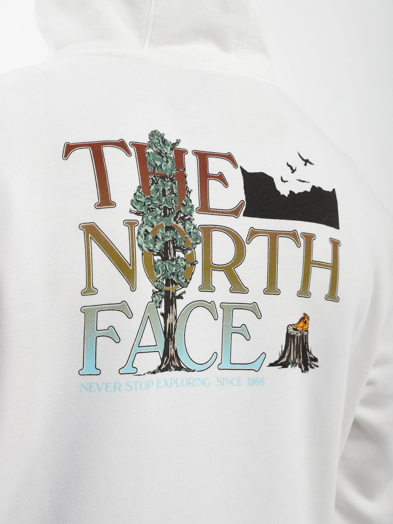 Худи и свитшоты The North Face модель NF0A7X1POFK1 Худи и свитшоты The North Face модель NF0A7X1POFK1 Фото