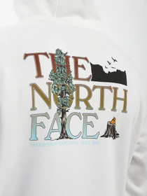 Худи и свитшоты The North Face модель NF0A7X1POFK1 Фото