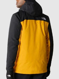 Куртки и дубленки The North Face модель NF0A82VUZU31 Фото
