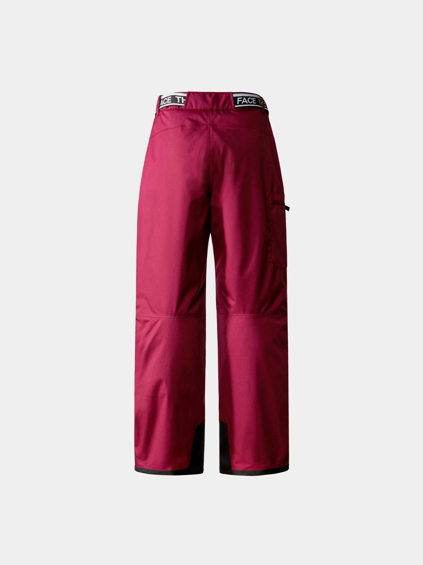 Брюки The North Face модель NF0A82Y7I0H1 Брюки The North Face модель NF0A82Y7I0H1 Фото
