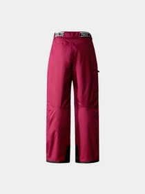Брюки The North Face модель NF0A82Y7I0H1 Фото