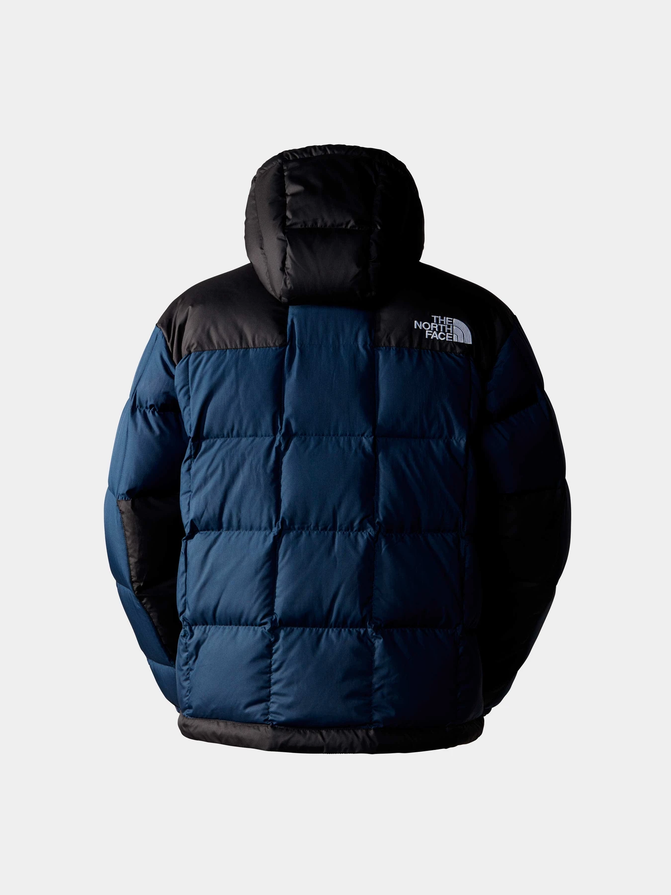 Куртки и дубленки The North Face модель NF0A853C92A1 Куртки и дубленки The North Face модель NF0A853C92A1 Фото