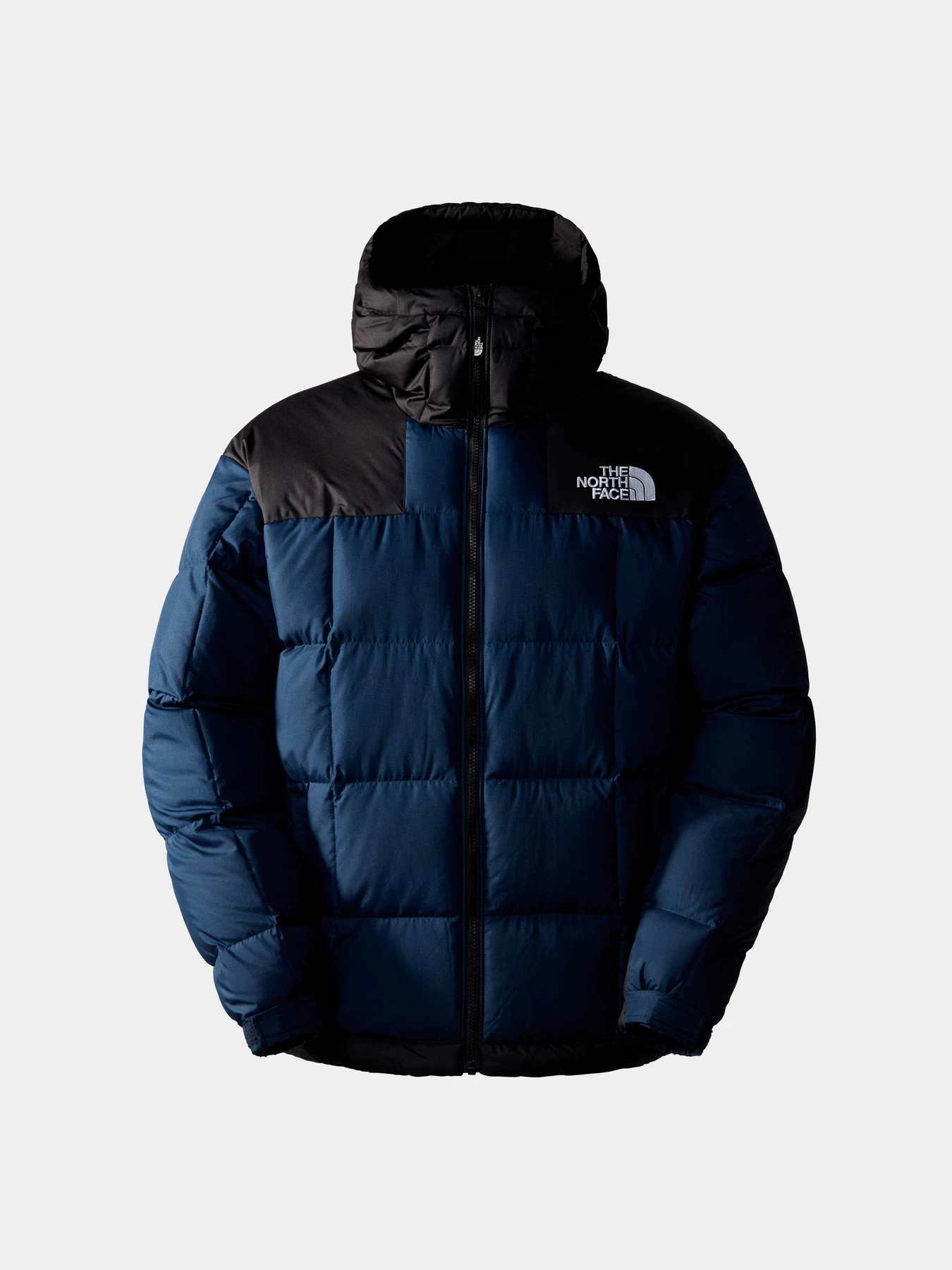 Куртки и дубленки The North Face модель NF0A853C92A1 Куртки и дубленки The North Face модель NF0A853C92A1 Фото