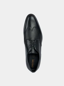 Туфли и лоферы Geox модель U359GA-04347-C9999 Фото