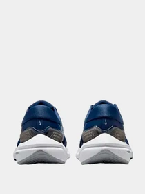 Кроссовки NIKE модель DA7245-403 Фото