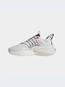 Кроссовки Adidas Alphabounce модель HP2757-KZ Фото