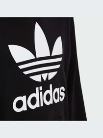 Худи и свитшоты Adidas Trefoil модель DV2870-KZ Фото