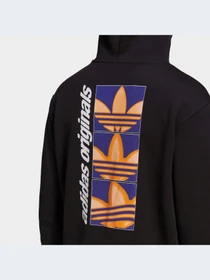 Худи и свитшоты Adidas Graphics модель HC7180-KZ Фото