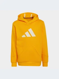 Спортивная одежда Adidas модель HF2181-KZ Фото