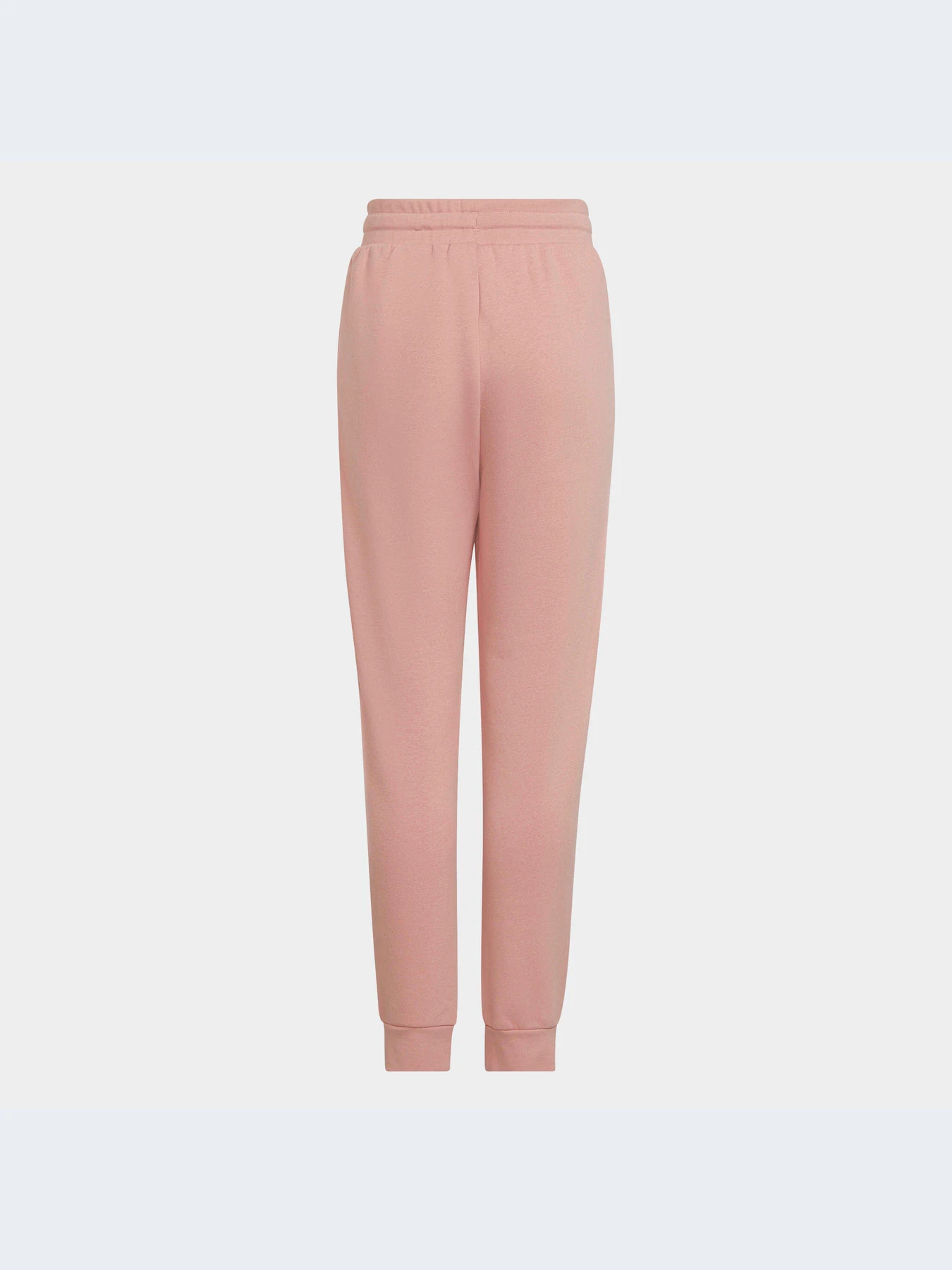 Брюки Adidas Adicolor модель HD2056-KZ Брюки Adidas Adicolor модель HD2056-KZ Фото