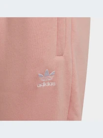 Брюки Adidas Adicolor модель HD2056-KZ Фото