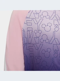 Худи и свитшоты Adidas Mickey and Friends модель HF1875-KZ Фото