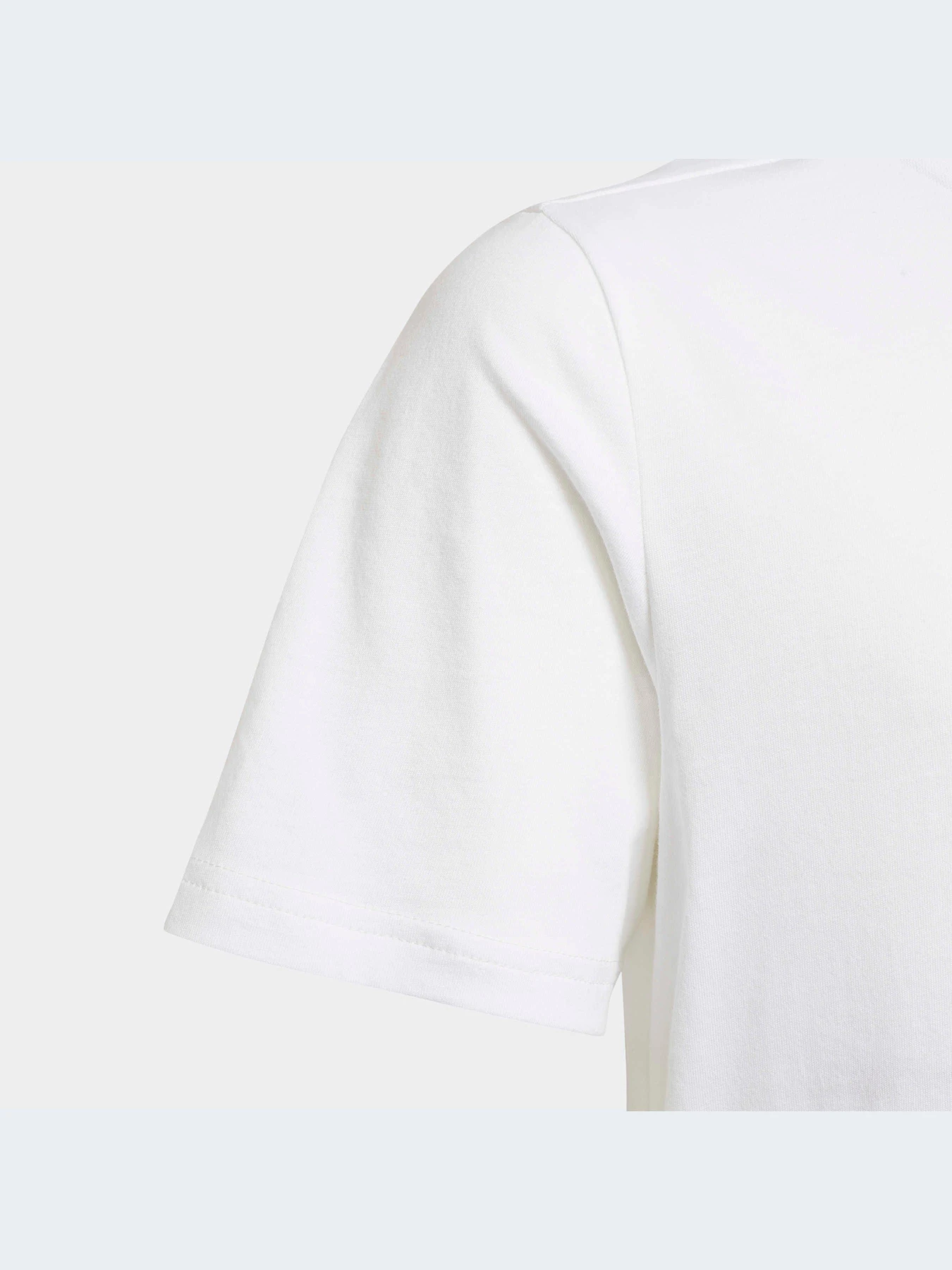 Футболки и поло Adidas Adicolor модель HK0403-KZ Футболки и поло Adidas Adicolor модель HK0403-KZ Фото