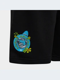 Шорты Adidas Graphics модель HF7447-KZ Фото