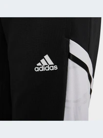 Брюки Adidas Condivo модель HA6258-KZ Фото