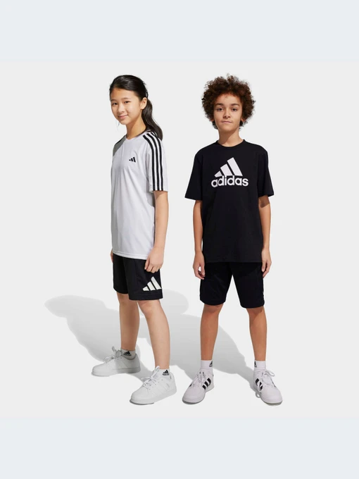 Шорты Adidas модель HR6411-KZ Фото