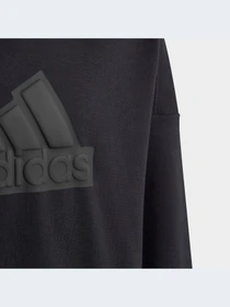 Худи и свитшоты Adidas Icons модель HR6301-KZ Фото