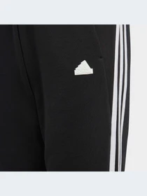 Брюки Adidas Культовые силуэты модель IC0116-KZ Фото