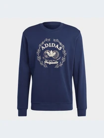 Худи и свитшоты Adidas Graphics модель IC5769-KZ Фото