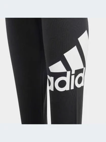 Брюки Adidas модель IC3164-KZ Фото