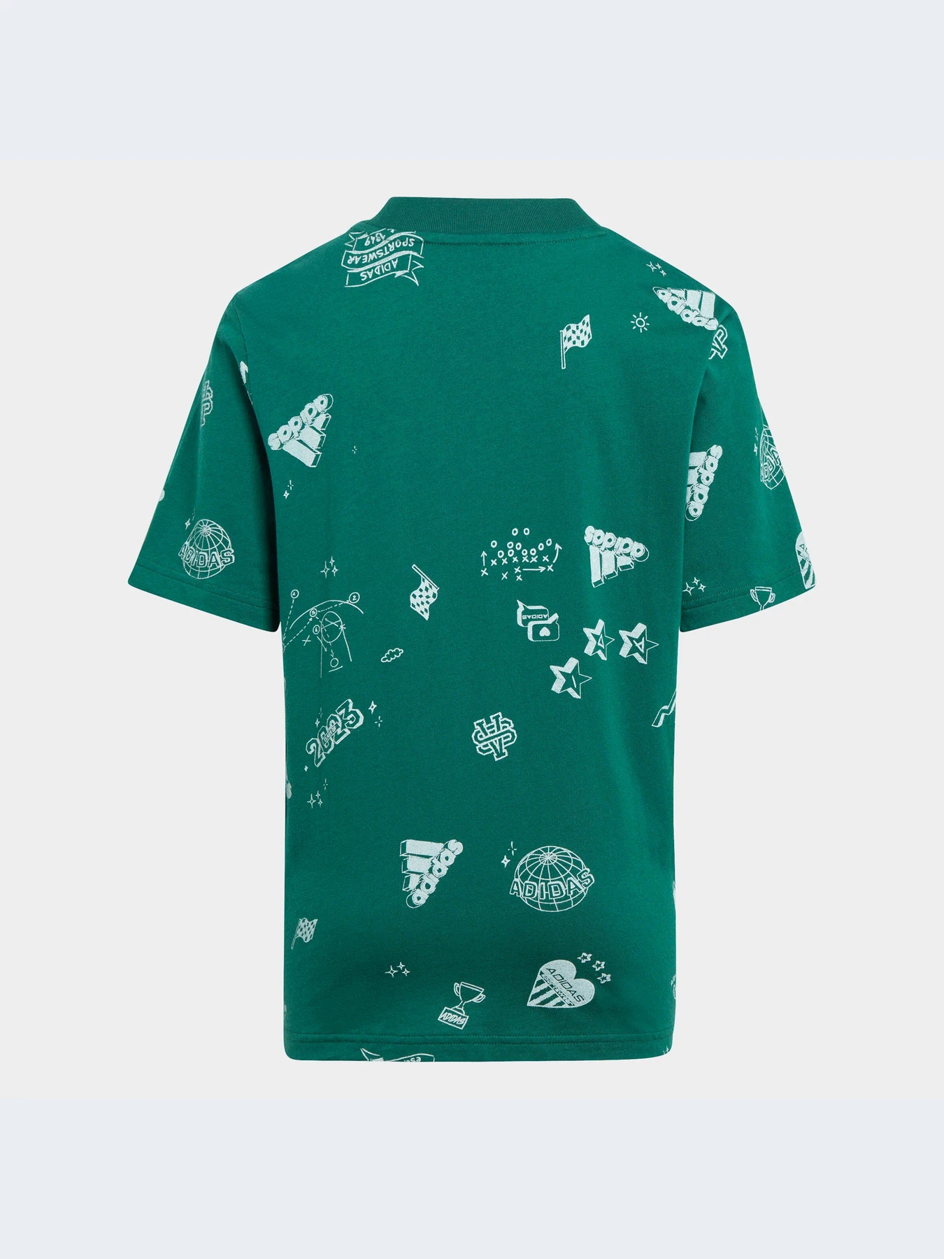 Футболки и поло Adidas Graphics модель IA1562-KZ Футболки и поло Adidas Graphics модель IA1562-KZ Фото
