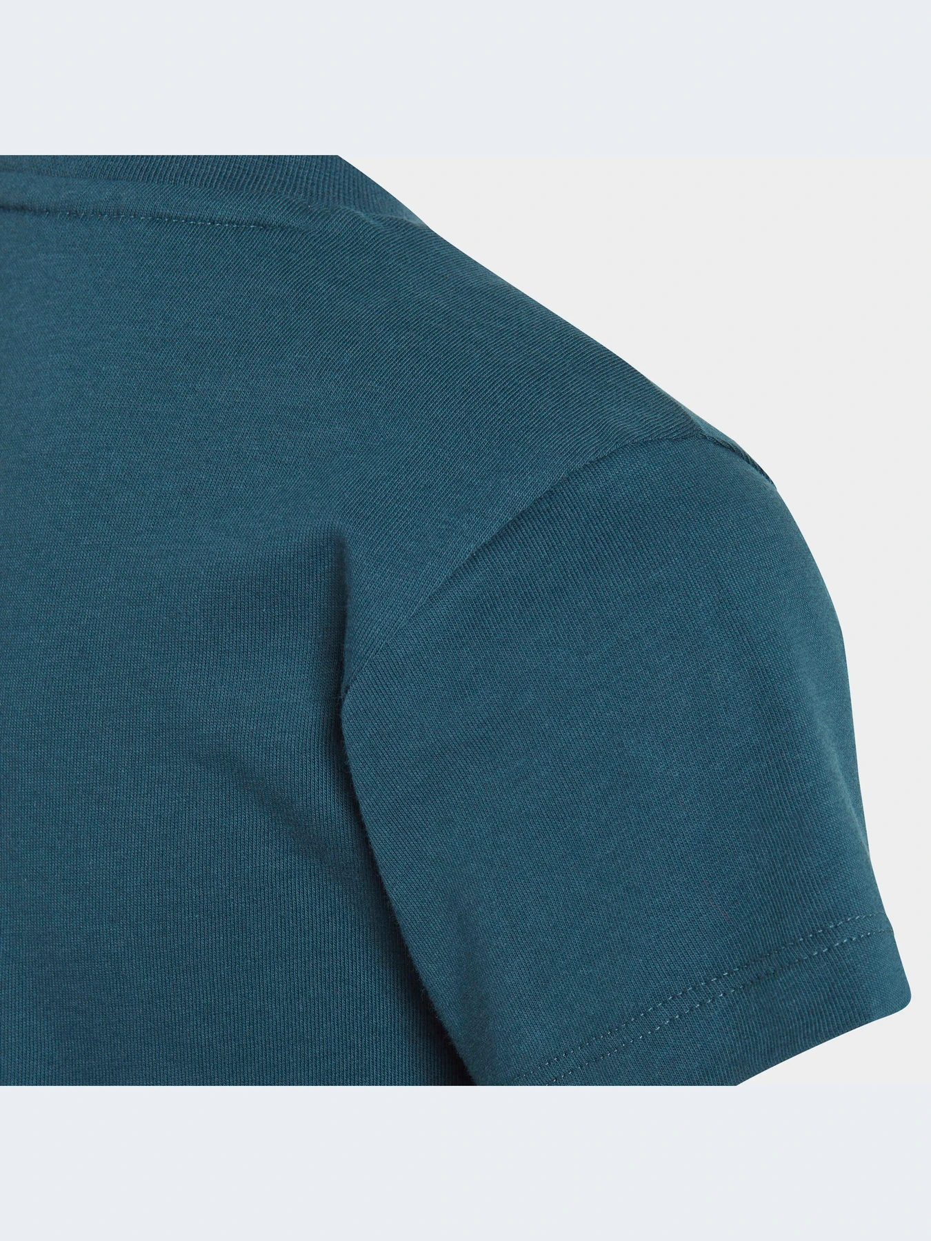 Футболки и поло Adidas Adicolor модель IJ7209-KZ Футболки и поло Adidas Adicolor модель IJ7209-KZ Фото