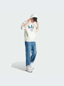 Худи и свитшоты Adidas модель IM4578-KZ Фото