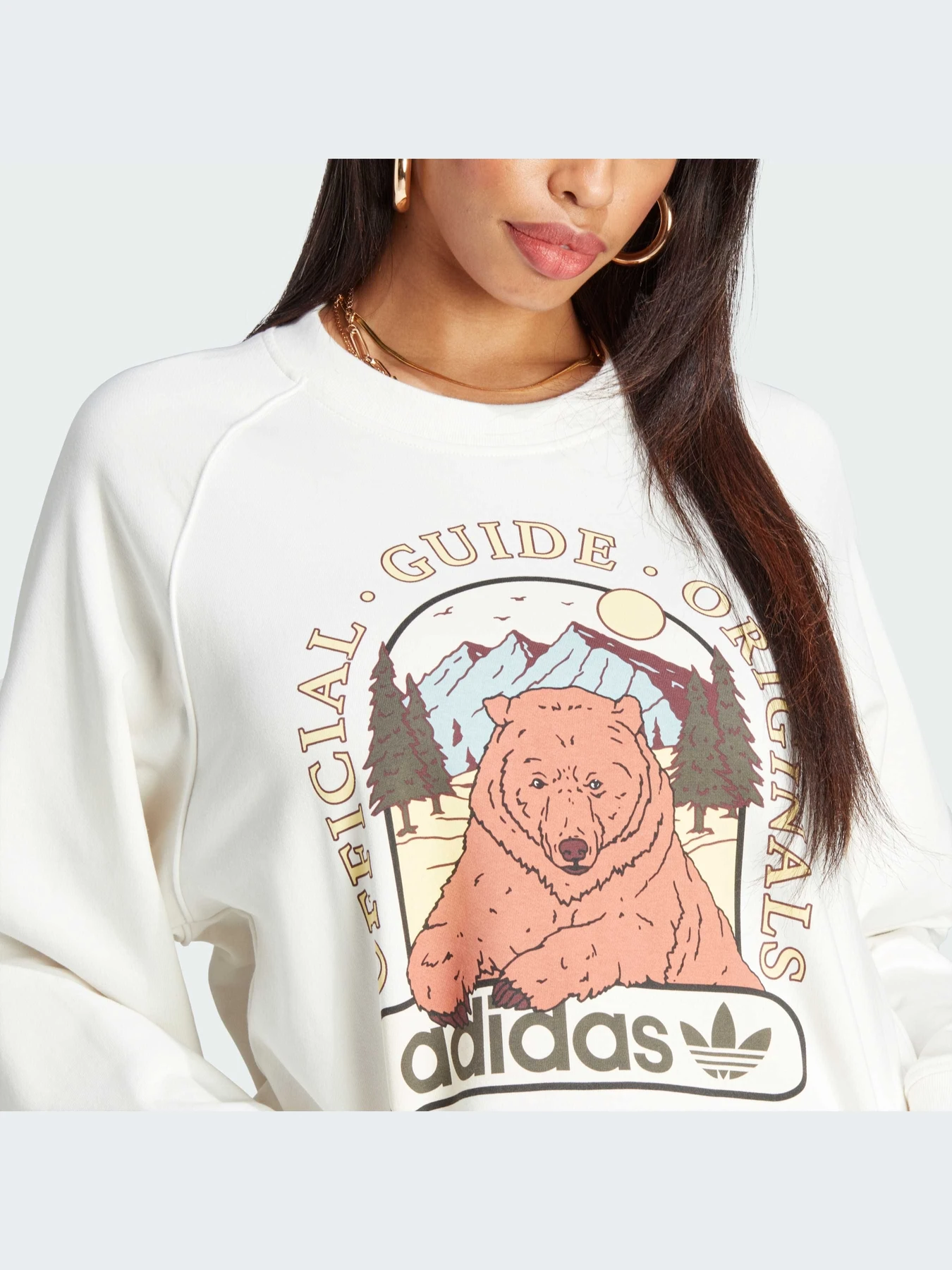 Худи и свитшоты Adidas Graphics модель IL2426-KZ Худи и свитшоты Adidas Graphics модель IL2426-KZ Фото