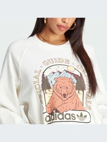 Худи и свитшоты Adidas Graphics модель IL2426-KZ Фото