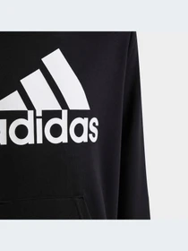 Худи и свитшоты Adidas модель HR6380-KZ Фото