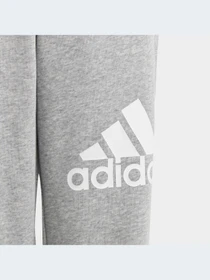 Брюки Adidas модель IC6852-KZ Фото