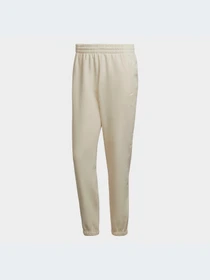 Брюки Adidas Adicolor модель HD2752-KZ Фото