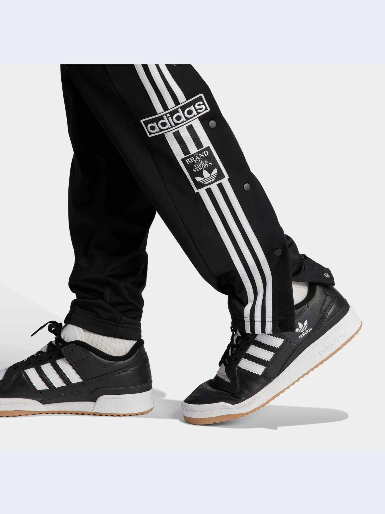 Брюки Adidas Adicolor модель IN8075-KZ Брюки Adidas Adicolor модель IN8075-KZ Фото