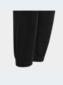 Брюки Adidas модель HR5821-KZ Фото