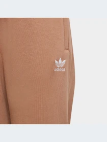 Брюки Adidas модель IC6134-KZ Фото