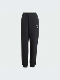 Брюки Adidas модель IJ8771-KZ Фото