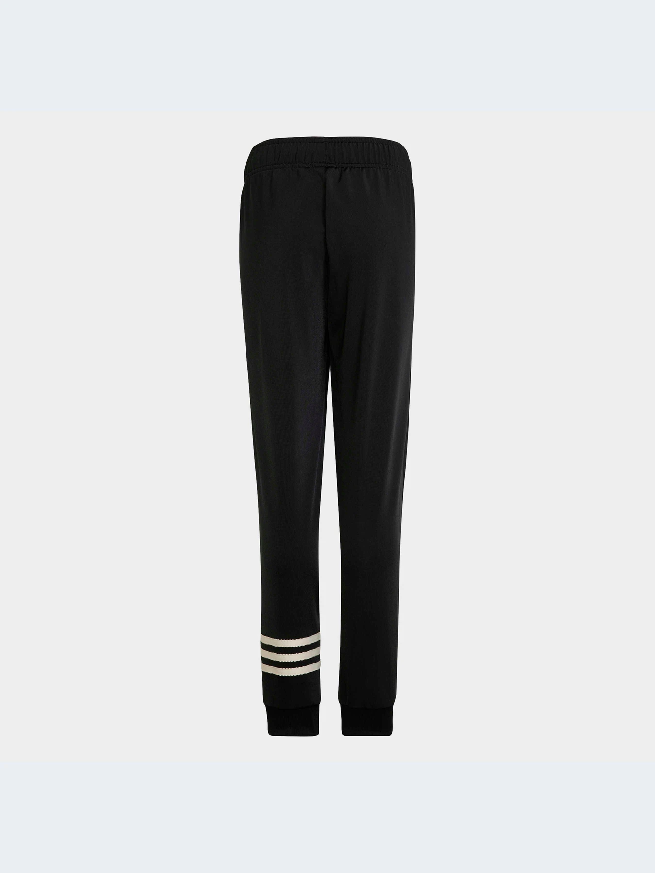 Брюки Adidas Adicolor модель HK9695-KZ Брюки Adidas Adicolor модель HK9695-KZ Фото