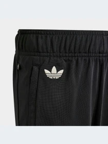 Брюки Adidas Adicolor модель HK9695-KZ Фото