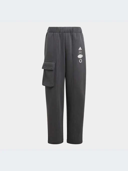 Брюки Adidas модель IB4016-KZ Фото