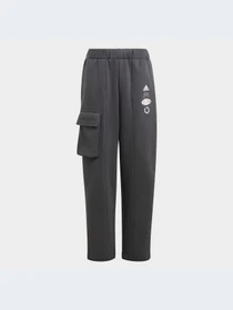 Брюки Adidas модель IB4016-KZ Фото