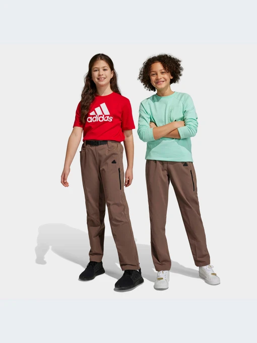 Брюки Adidas модель HR6373-KZ Фото