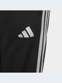 Брюки Adidas модель HR4351-KZ Фото