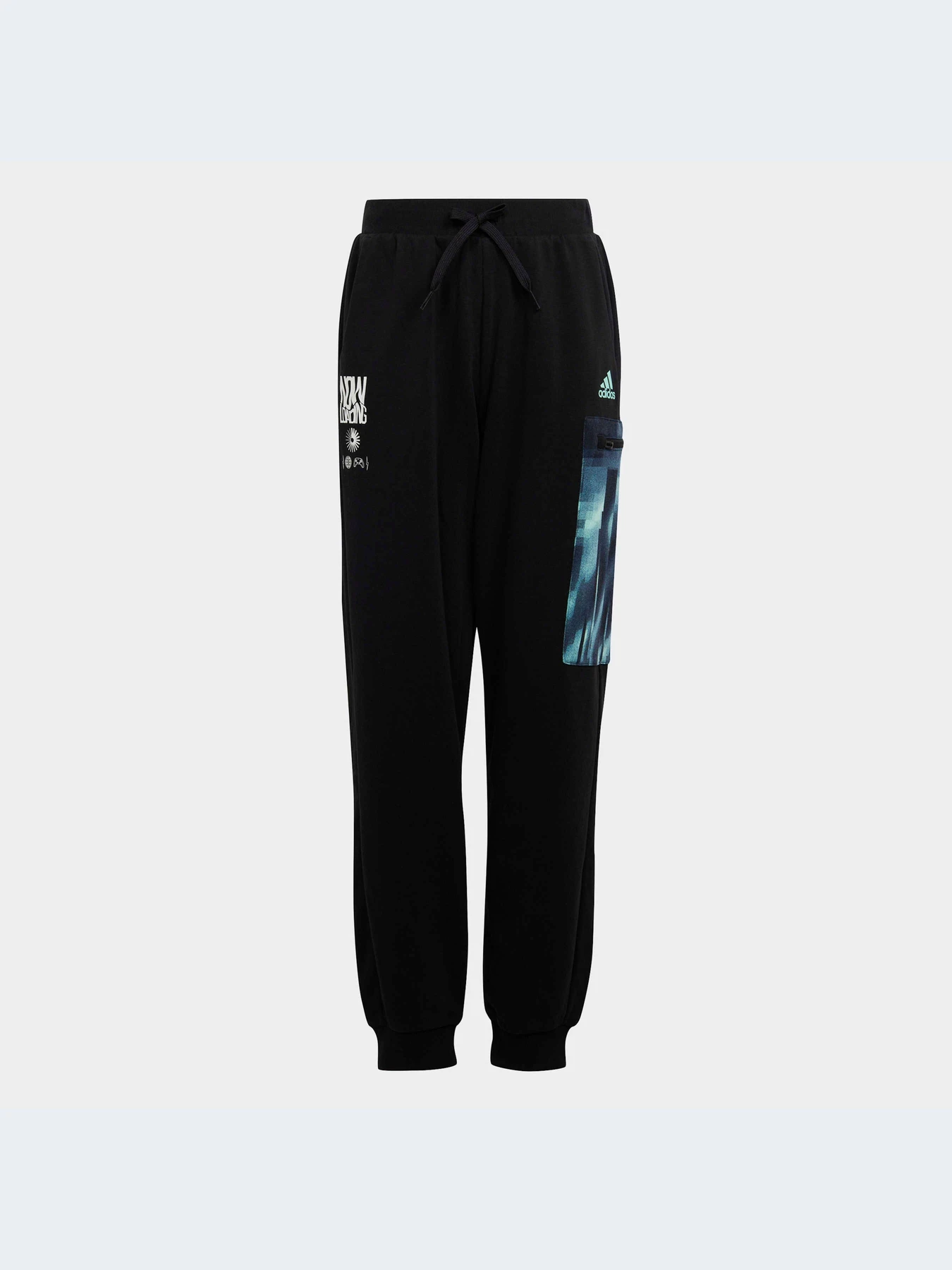 Брюки Adidas модель HR6414-KZ Брюки Adidas модель HR6414-KZ Фото