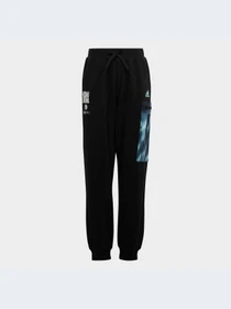 Брюки Adidas модель HR6414-KZ Фото